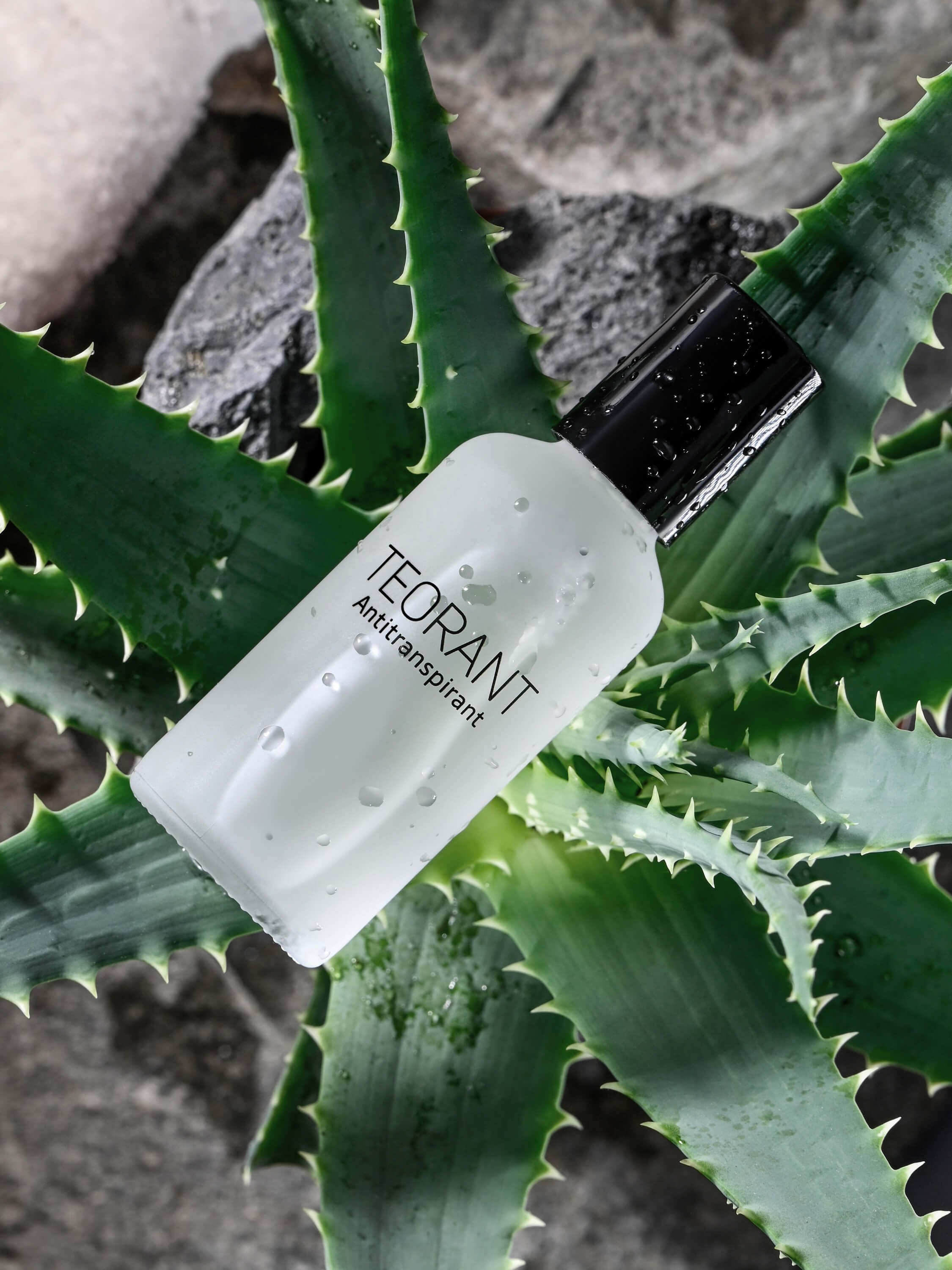 TEORANT mediaboxx Product 1 Aloe